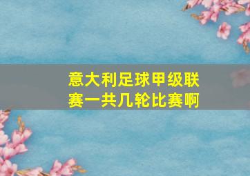 意大利足球甲级联赛一共几轮比赛啊