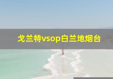 戈兰特vsop白兰地烟台