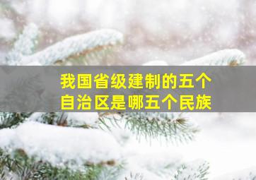 我国省级建制的五个自治区是哪五个民族