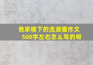 我家楼下的流浪猫作文500字左右怎么写的呀