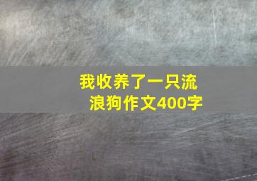 我收养了一只流浪狗作文400字