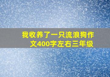 我收养了一只流浪狗作文400字左右三年级