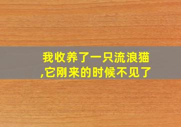 我收养了一只流浪猫,它刚来的时候不见了