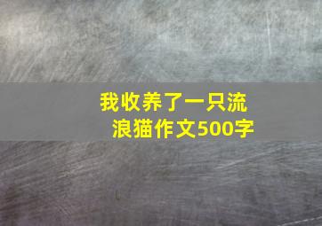 我收养了一只流浪猫作文500字