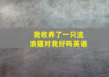 我收养了一只流浪猫对我好吗英语