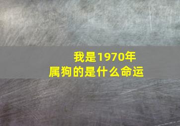 我是1970年属狗的是什么命运