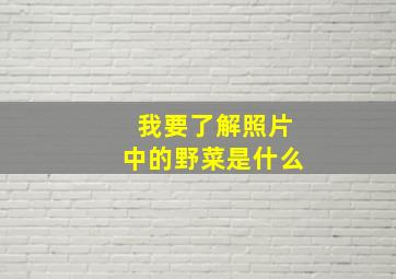 我要了解照片中的野菜是什么