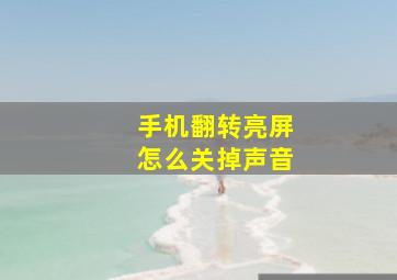 手机翻转亮屏怎么关掉声音