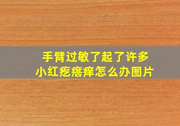 手臂过敏了起了许多小红疙瘩痒怎么办图片