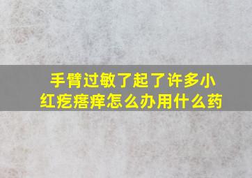 手臂过敏了起了许多小红疙瘩痒怎么办用什么药