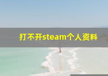 打不开steam个人资料