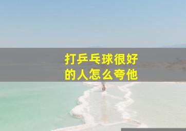 打乒乓球很好的人怎么夸他