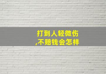 打到人轻微伤,不赔钱会怎样