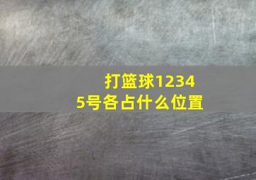 打篮球12345号各占什么位置