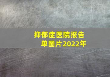 抑郁症医院报告单图片2022年