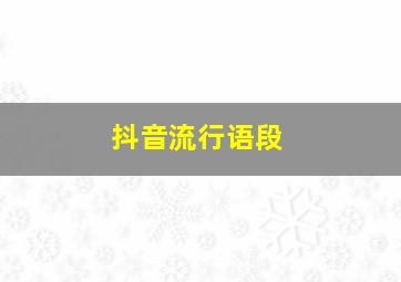 抖音流行语段