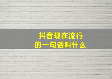 抖音现在流行的一句话叫什么