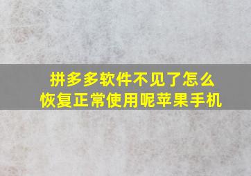 拼多多软件不见了怎么恢复正常使用呢苹果手机