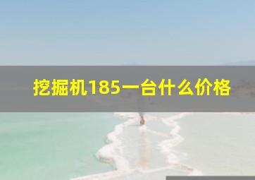 挖掘机185一台什么价格