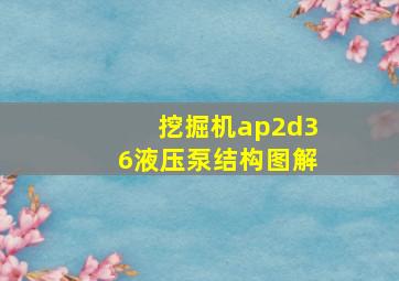 挖掘机ap2d36液压泵结构图解