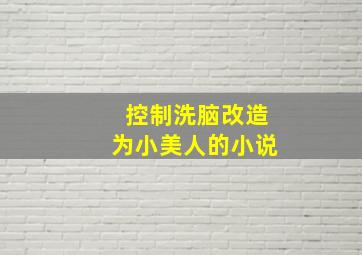 控制洗脑改造为小美人的小说