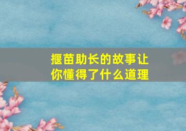 揠苗助长的故事让你懂得了什么道理