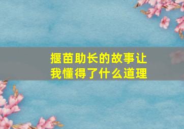 揠苗助长的故事让我懂得了什么道理