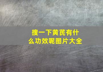 搜一下黄芪有什么功效呢图片大全