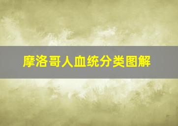 摩洛哥人血统分类图解