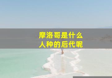 摩洛哥是什么人种的后代呢