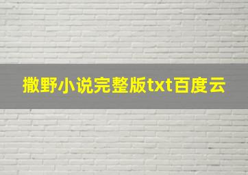 撒野小说完整版txt百度云