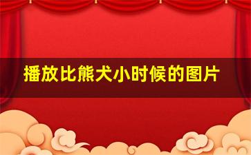 播放比熊犬小时候的图片