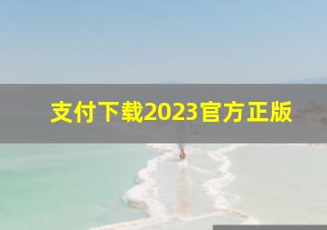 支付下载2023官方正版