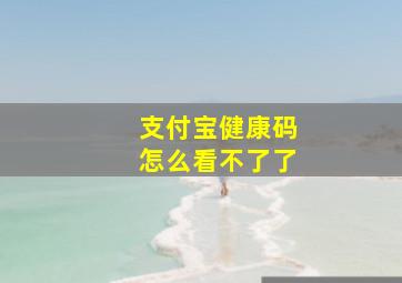 支付宝健康码怎么看不了了