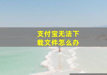 支付宝无法下载文件怎么办