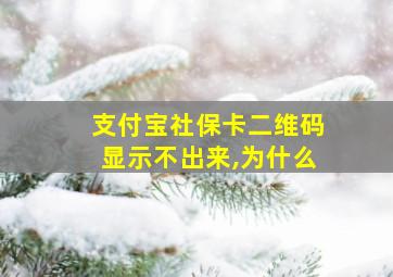 支付宝社保卡二维码显示不出来,为什么