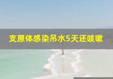 支原体感染吊水5天还咳嗽