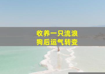 收养一只流浪狗后运气转变