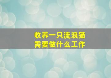 收养一只流浪猫需要做什么工作