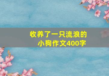 收养了一只流浪的小狗作文400字