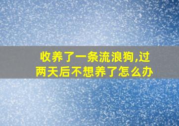 收养了一条流浪狗,过两天后不想养了怎么办