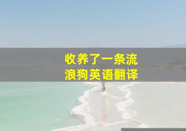 收养了一条流浪狗英语翻译