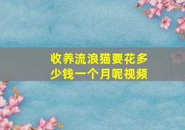 收养流浪猫要花多少钱一个月呢视频