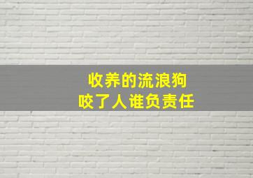 收养的流浪狗咬了人谁负责任