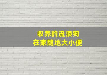 收养的流浪狗在家随地大小便