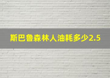 斯巴鲁森林人油耗多少2.5