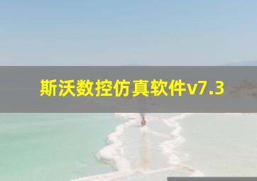 斯沃数控仿真软件v7.3