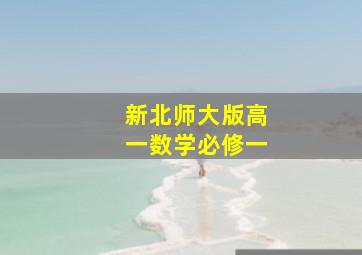 新北师大版高一数学必修一