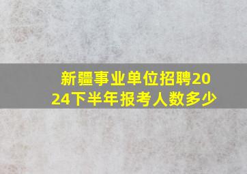 新疆事业单位招聘2024下半年报考人数多少