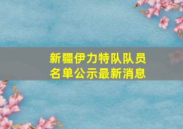 新疆伊力特队队员名单公示最新消息